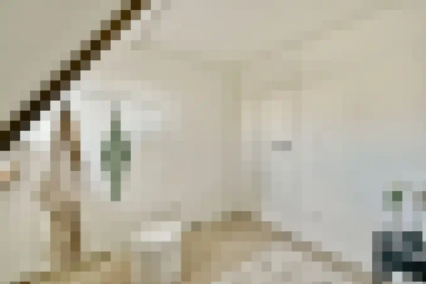 Andreas Schelfhoutstraat 41 4 Amsterdam thumbnail 12