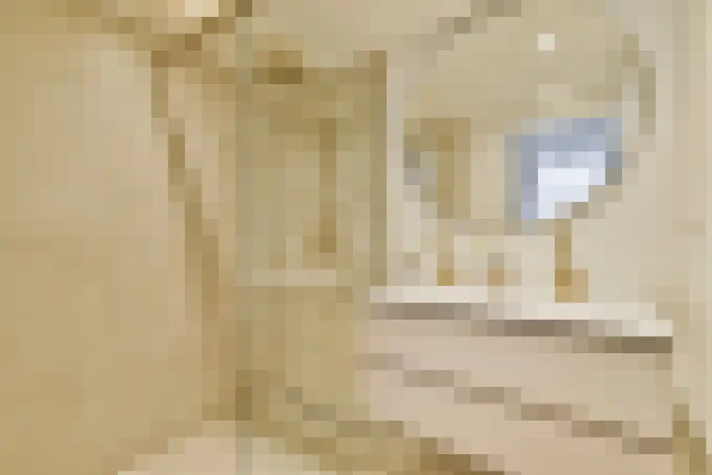 Andreas Schelfhoutstraat 41 4 Amsterdam thumbnail 13