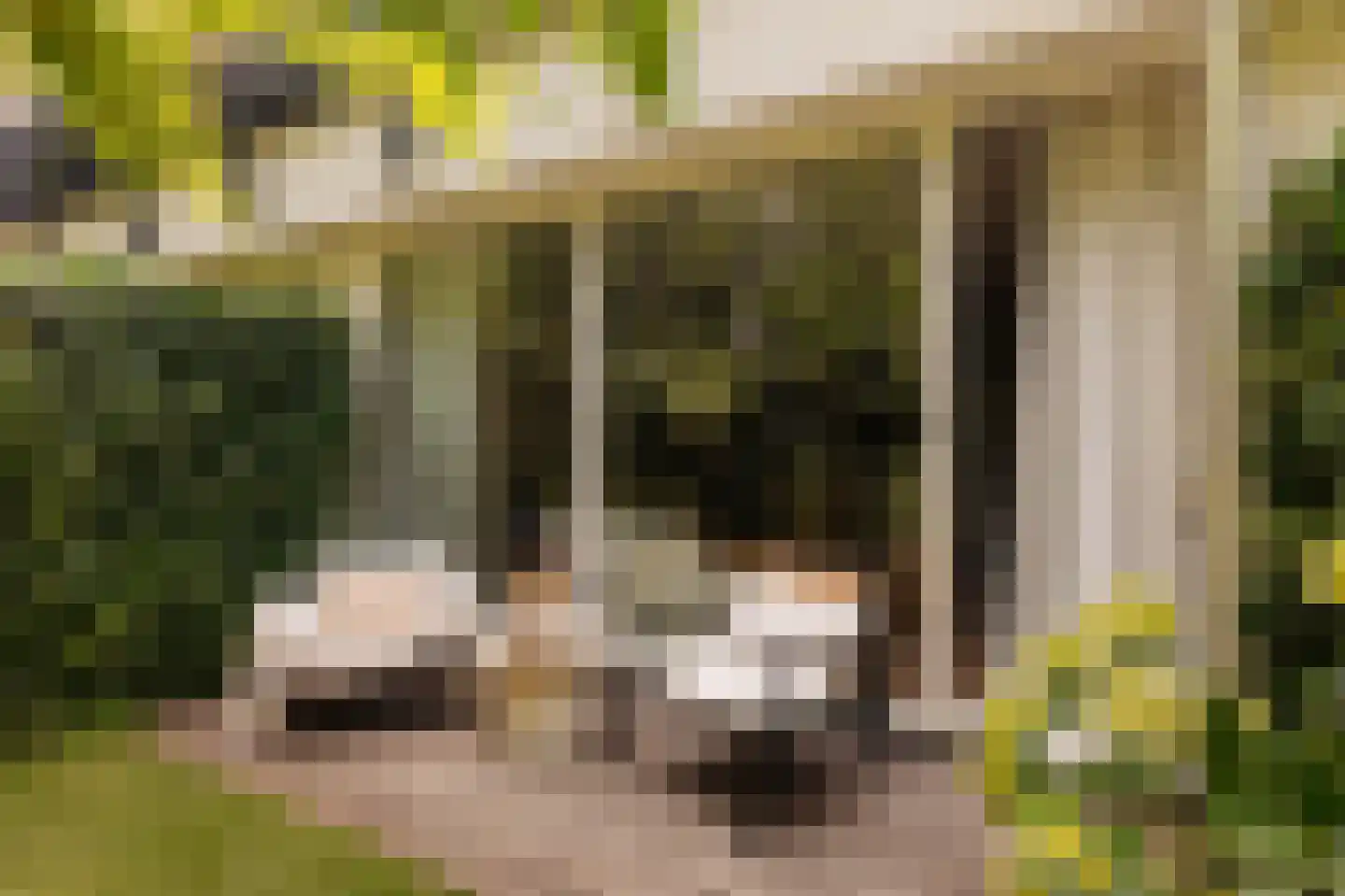 Andreas Schelfhoutstraat 48 H Amsterdam thumbnail 15