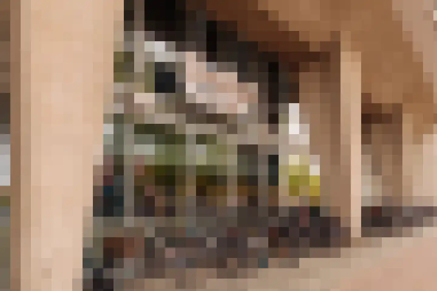 Andreas Schelfhoutstraat 48 H Amsterdam thumbnail 26