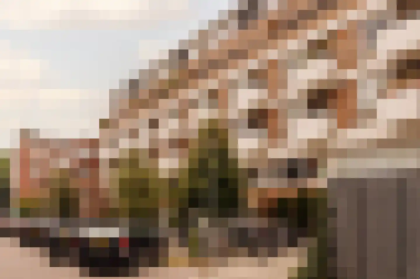 Andreas Schelfhoutstraat 48 H Amsterdam foto 3