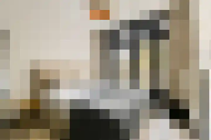 Andreas Schelfhoutstraat 49 2 Amsterdam thumbnail 15