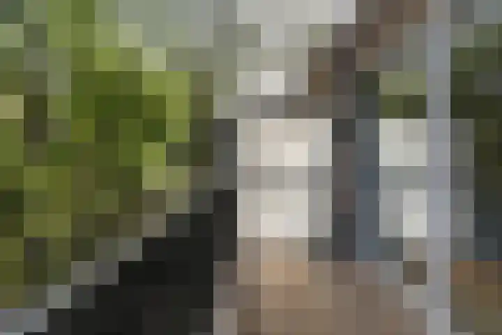 Andreas Schelfhoutstraat 50 K Amsterdam thumbnail 5