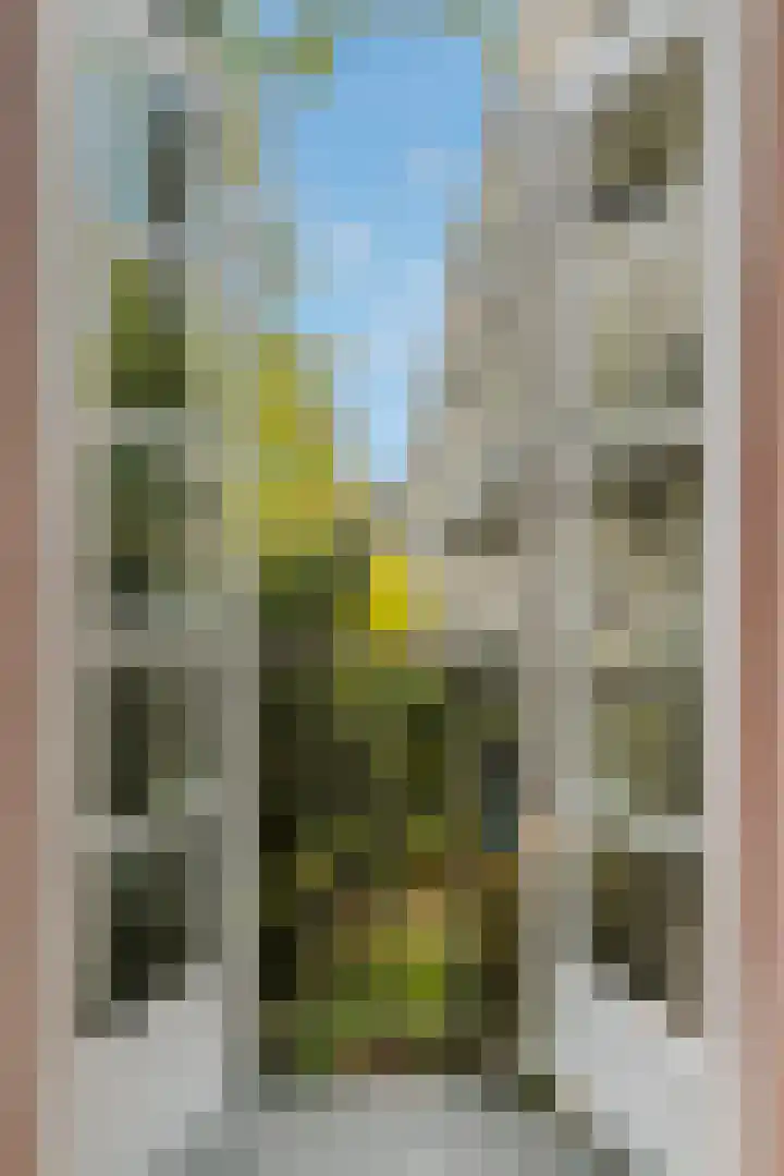 Andreas Schelfhoutstraat 63 1 Amsterdam thumbnail 17