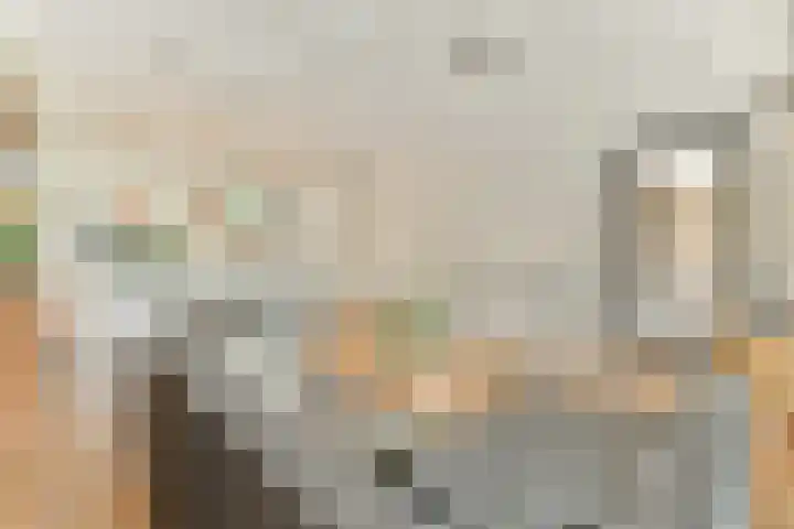 Andreasplein 100 Amsterdam thumbnail 5
