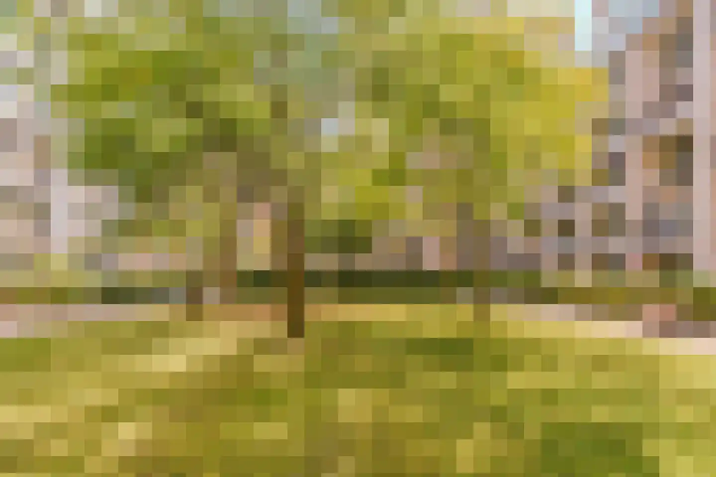 Andreasplein 55 Amsterdam thumbnail 35