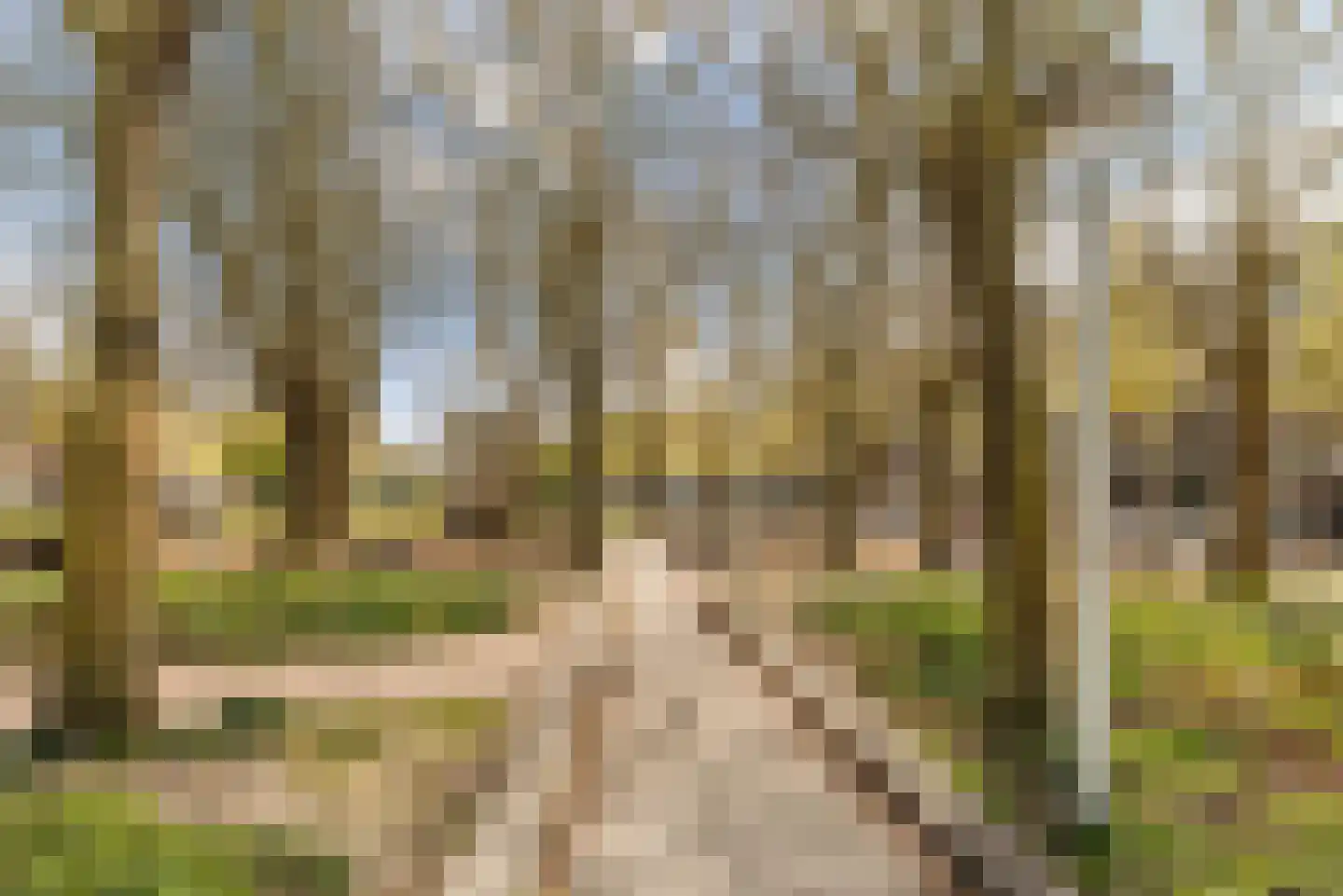 Andreasplein 74 Amsterdam thumbnail 32