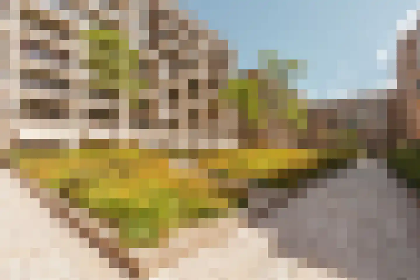 Andreasplein 98 Amsterdam thumbnail 32