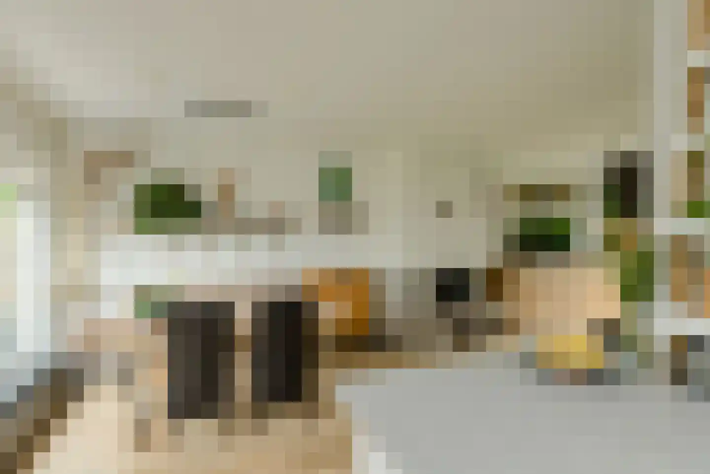 Andreasstraat 5 Breda thumbnail 12