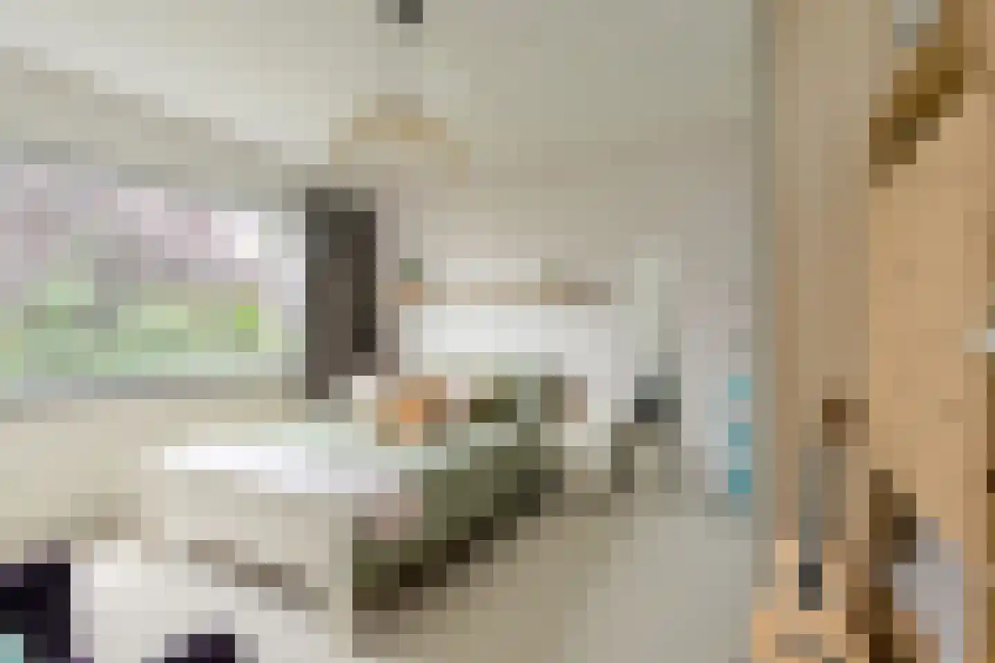 Andreasstraat 5 Breda thumbnail 18