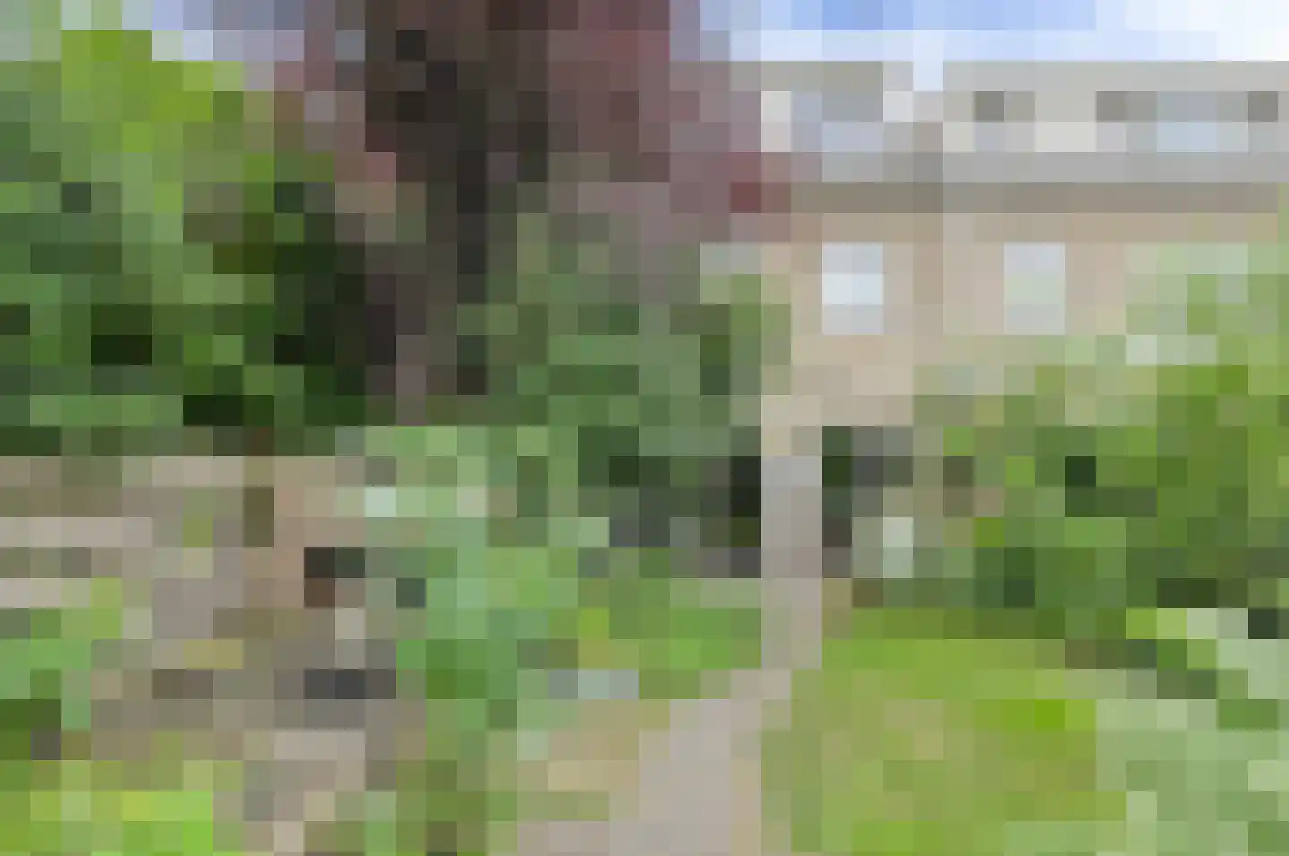 Andreasstraat 5 Breda thumbnail 38