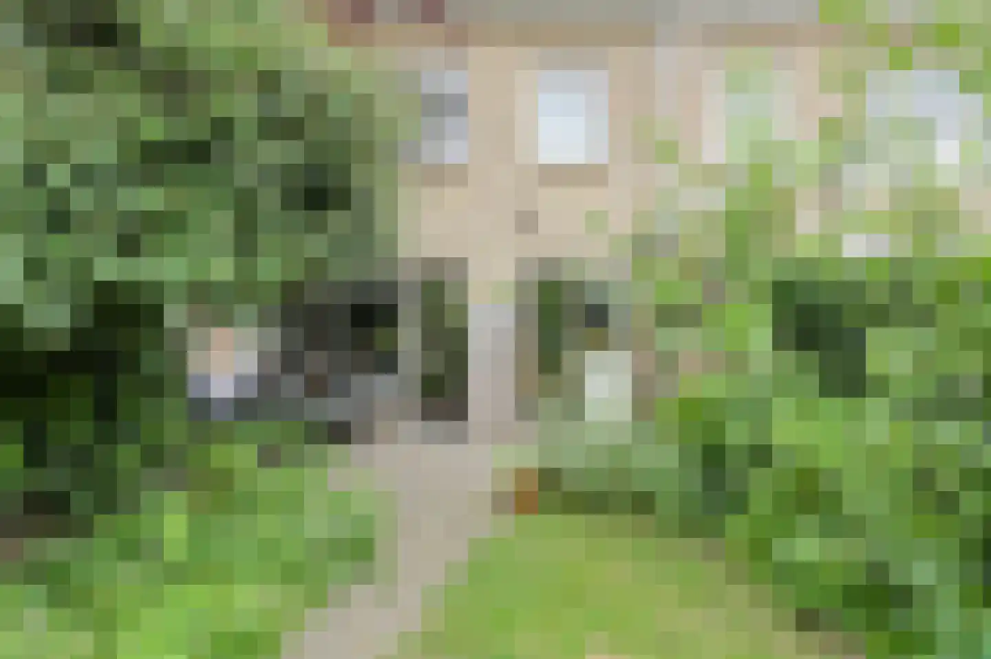 Andreasstraat 5 Breda thumbnail 39