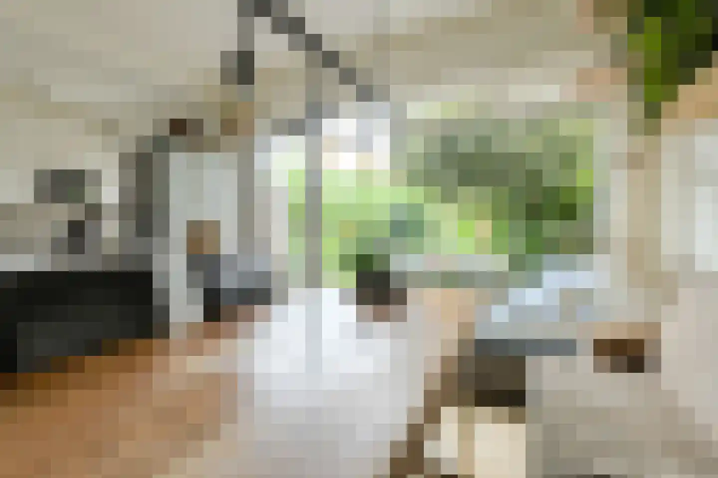 Andreasstraat 5 Breda thumbnail 8