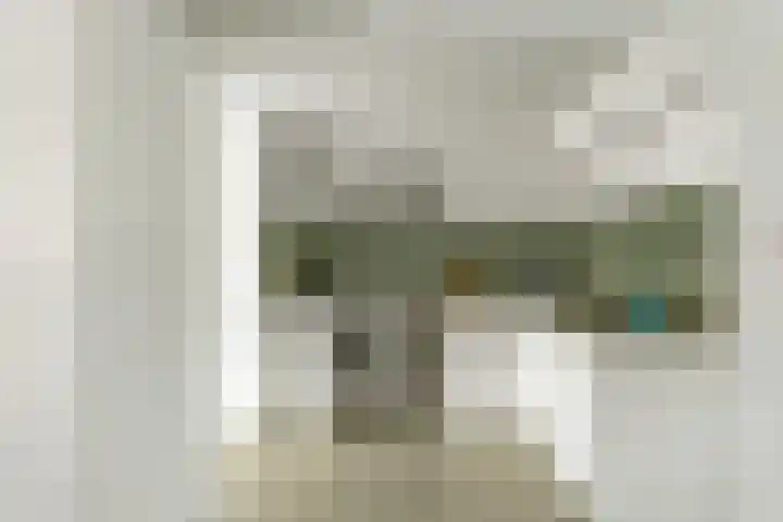 Andreasstraat 8 Breda thumbnail 12