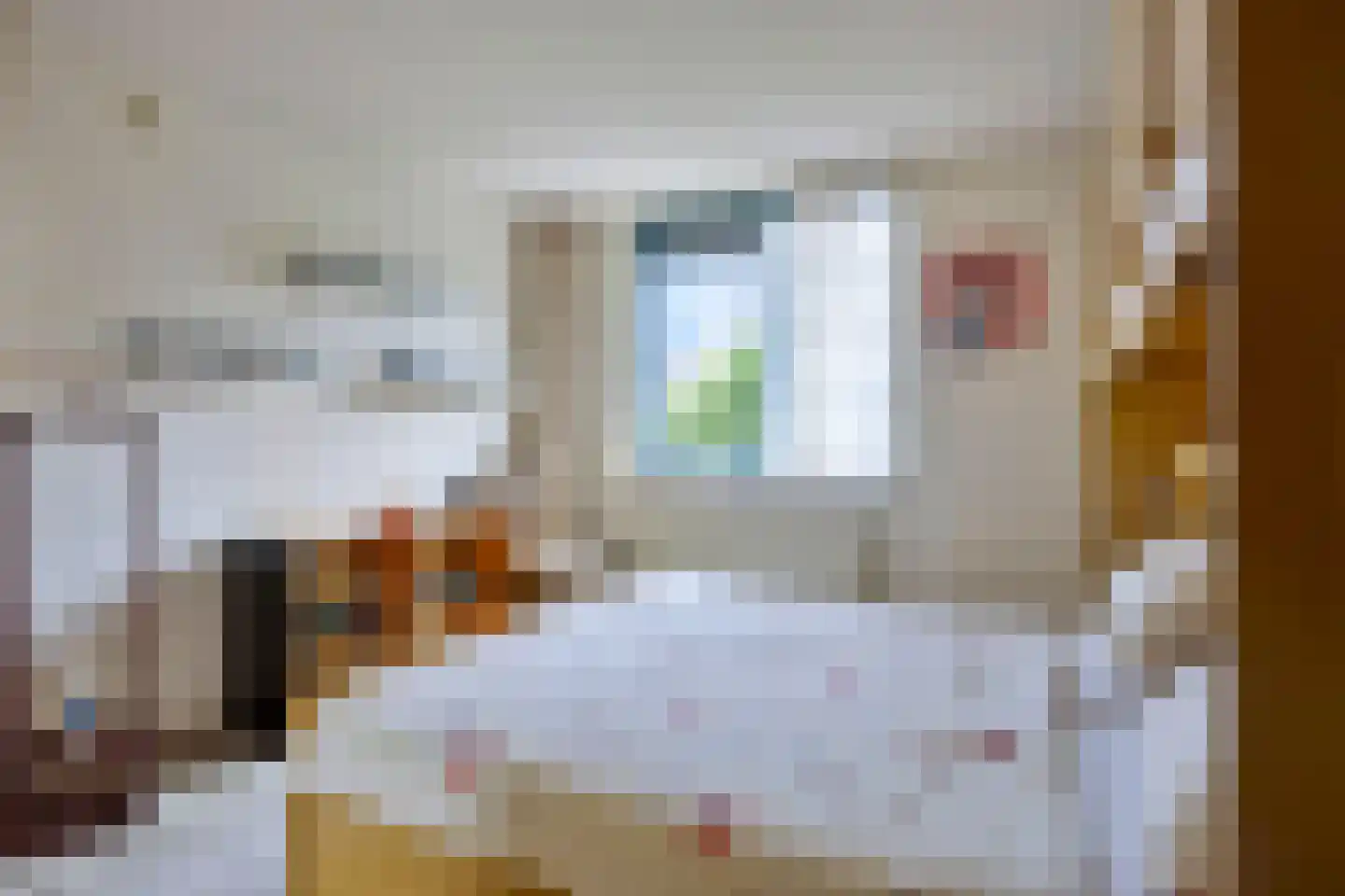 Andrej Sacharovstraat 10 Purmerend thumbnail 16