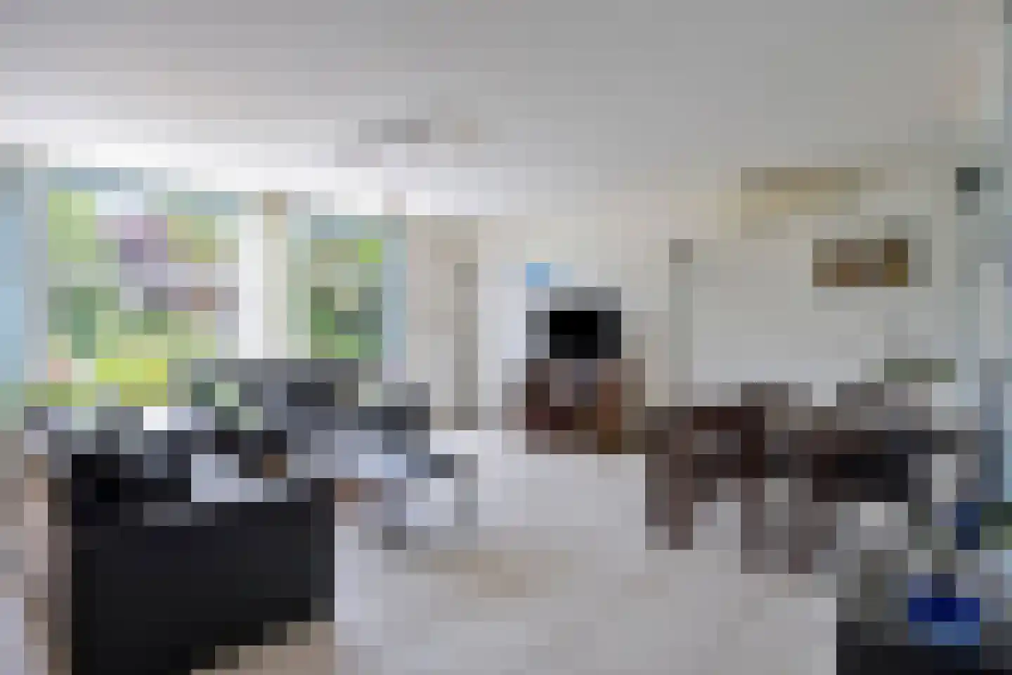 Andrej Sacharovstraat 10 Purmerend thumbnail 4