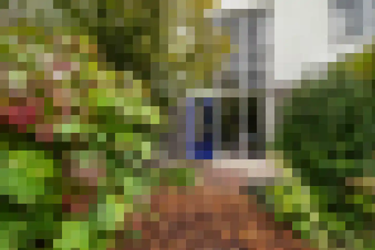 Andrej Sacharovstraat 19 Rotterdam thumbnail 34