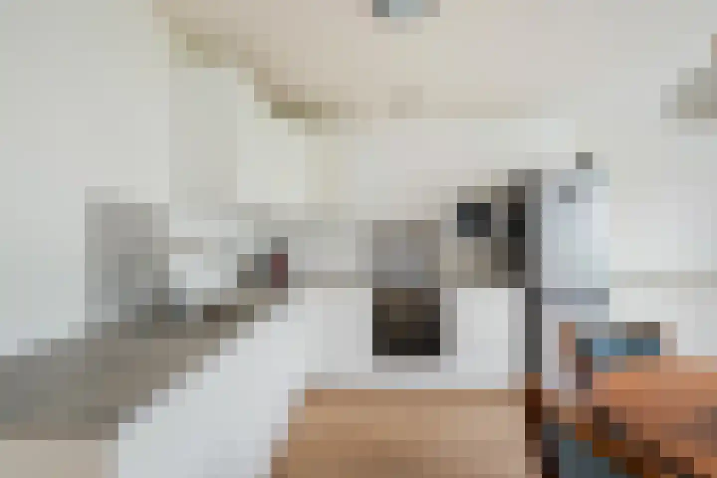Andrej Sacharovstraat 19 Rotterdam thumbnail 4
