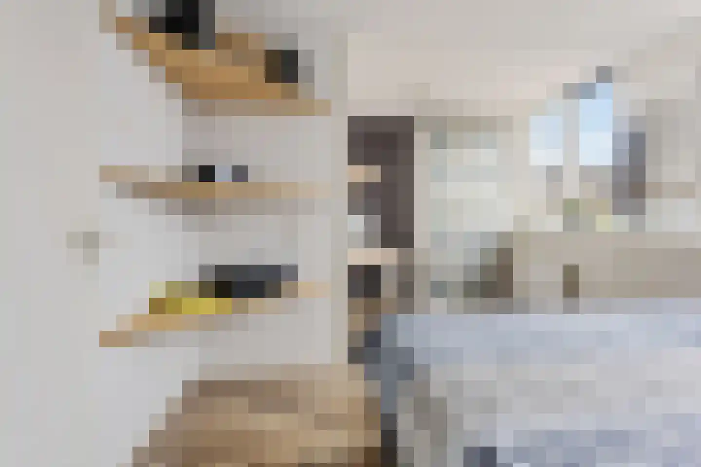 Andrej Sacharovstraat 67 Purmerend thumbnail 28