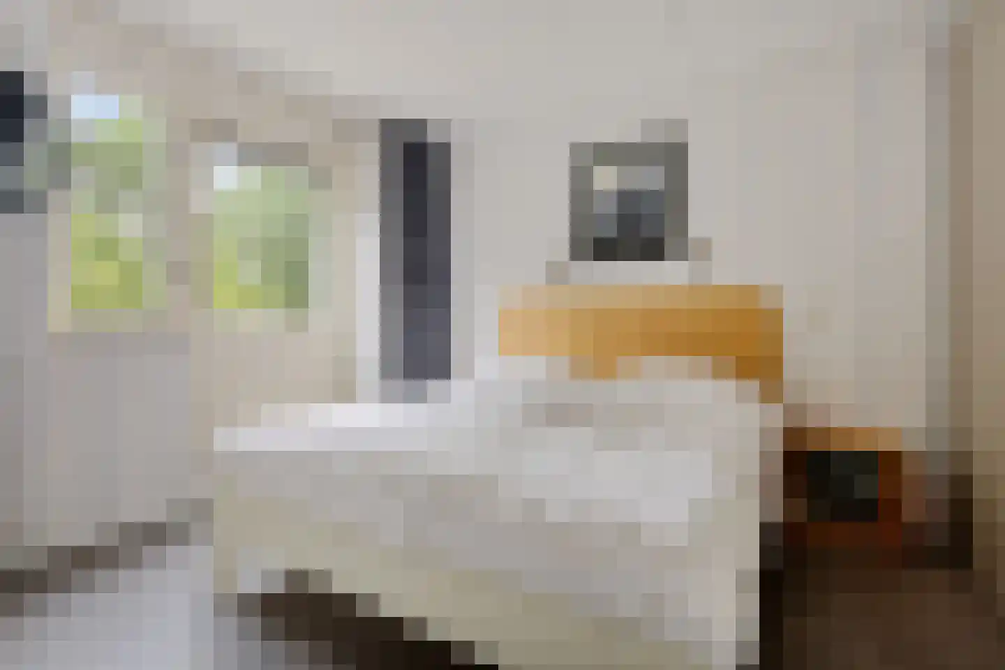 Andrej Sacharovstraat 67 Purmerend thumbnail 33