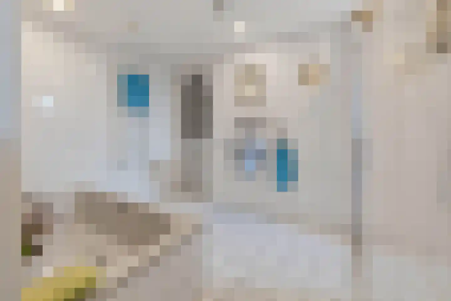 Andries Dekkerweg 18 Waarland thumbnail 10