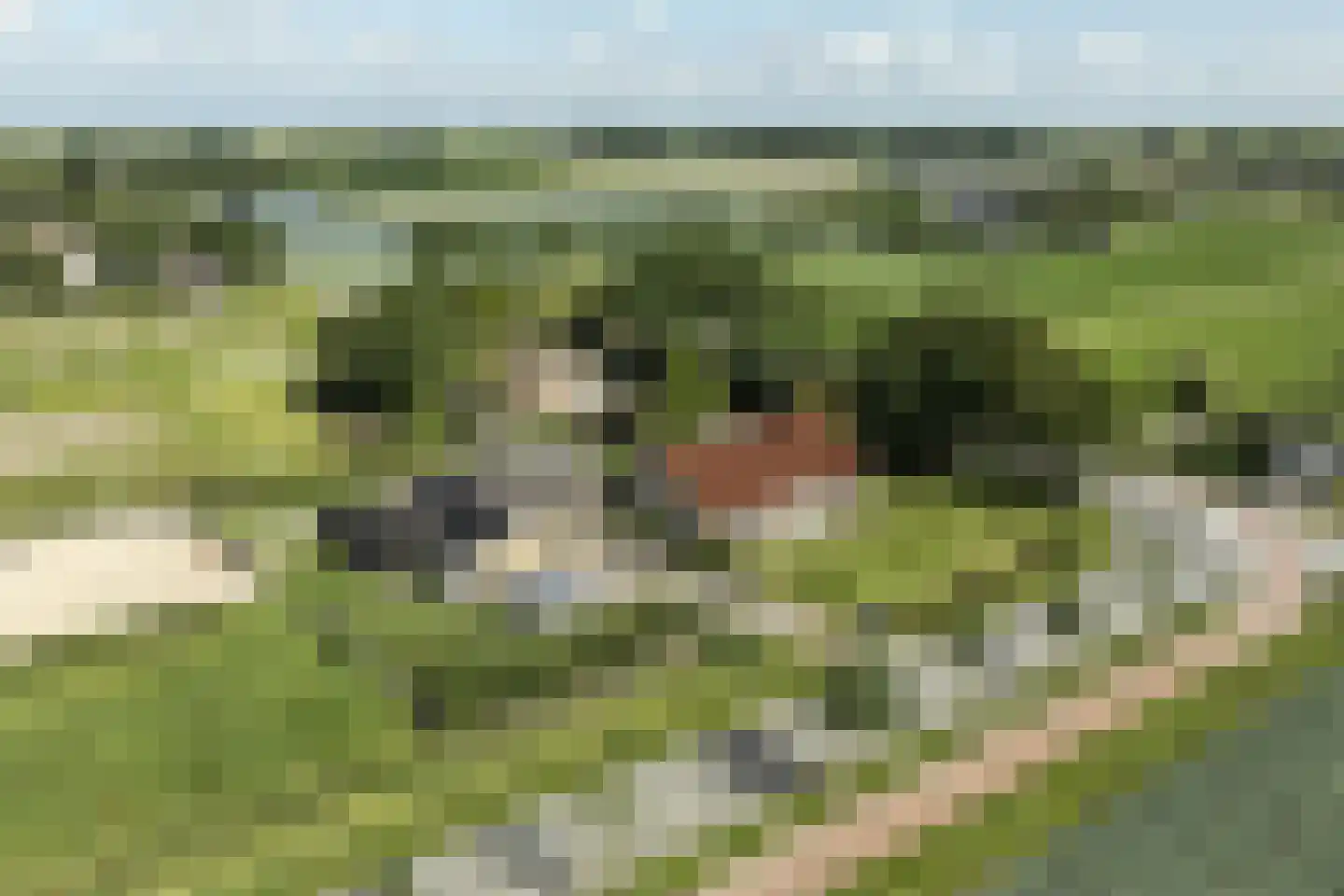Andries Dekkerweg 2 Waarland