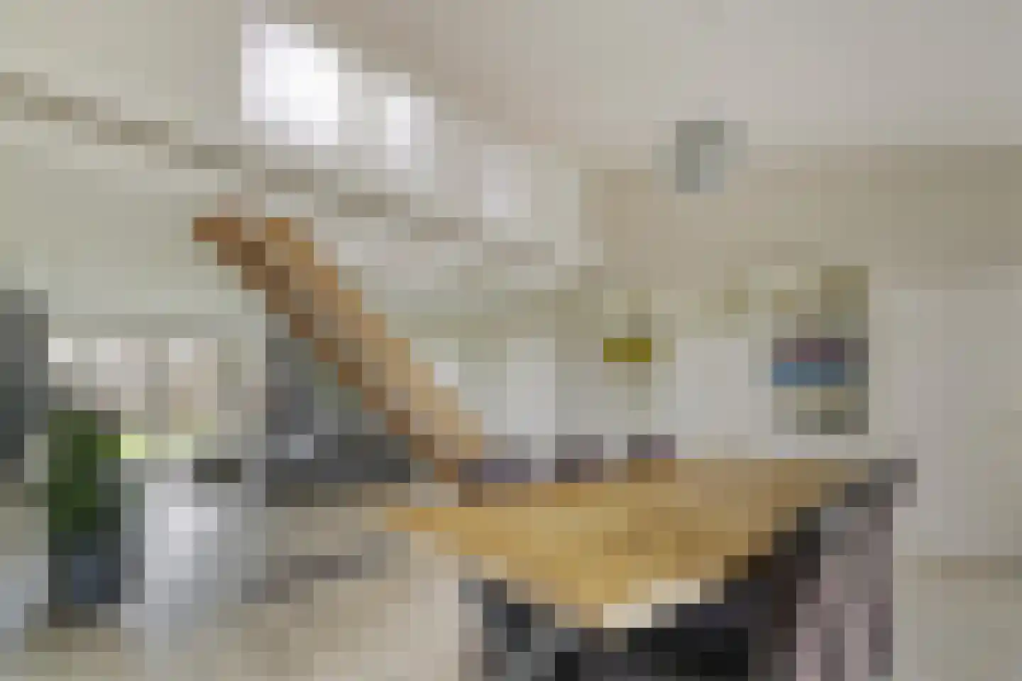 Andries Dekkerweg 2 Waarland thumbnail 18
