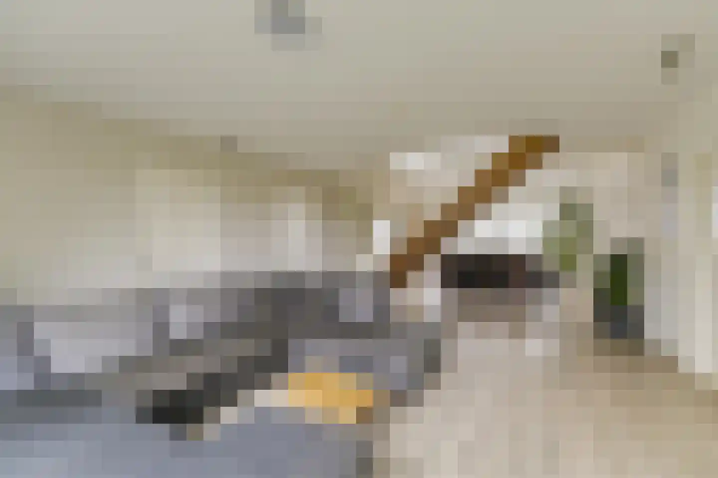 Andries Dekkerweg 2 Waarland thumbnail 23