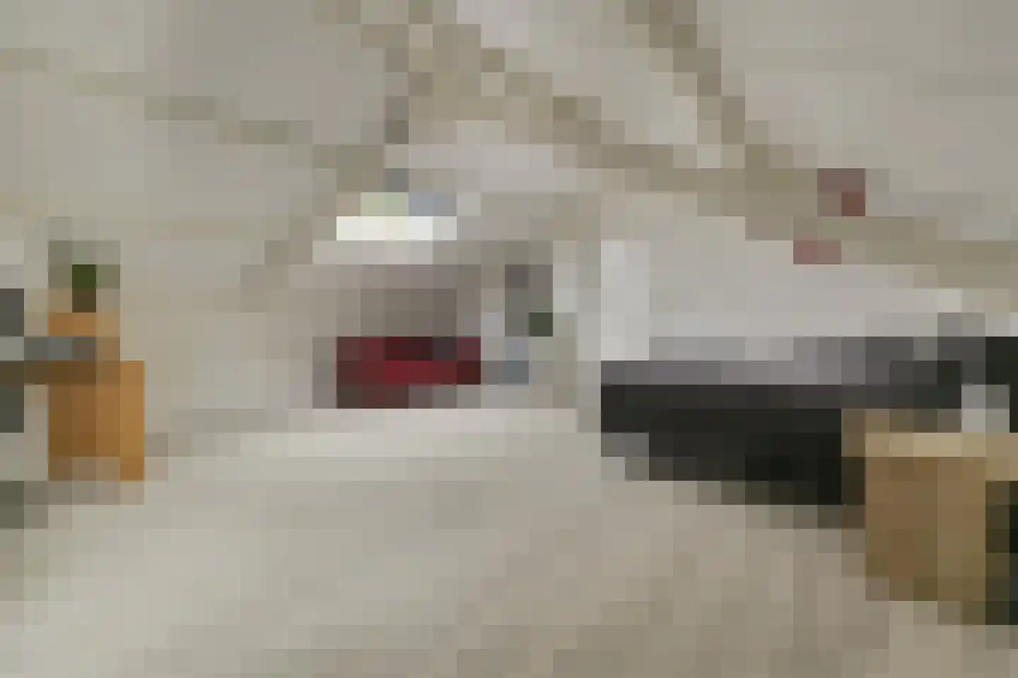 Andries Dekkerweg 2 Waarland thumbnail 30