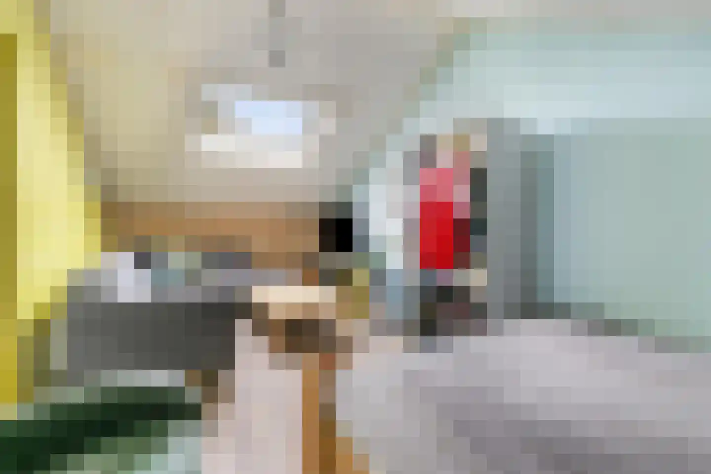 Andries Dekkerweg 2 Waarland thumbnail 32