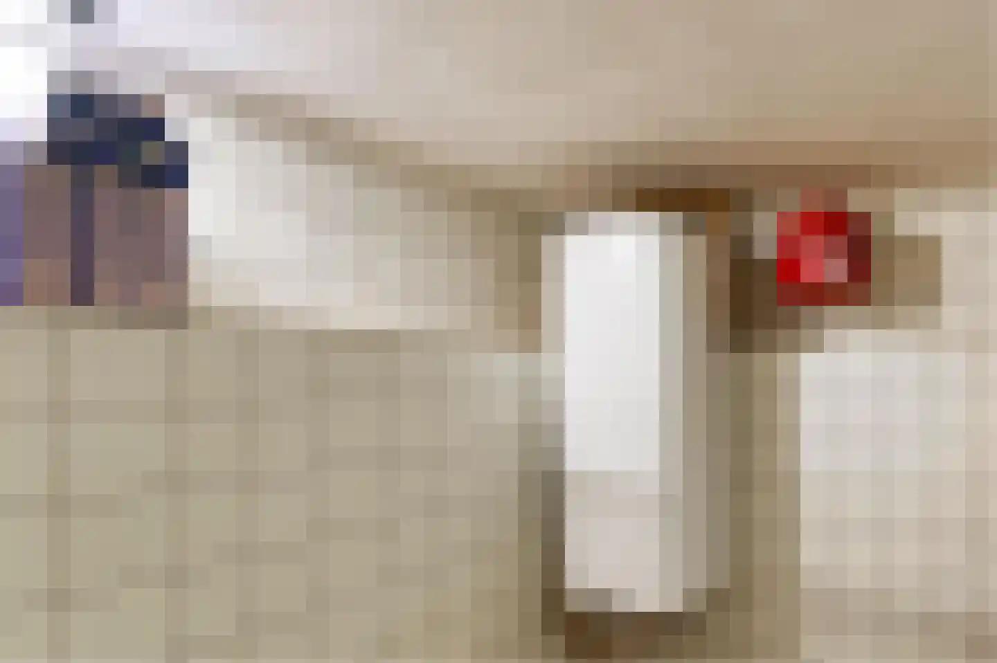 Andries Dekkerweg 2 Waarland thumbnail 34