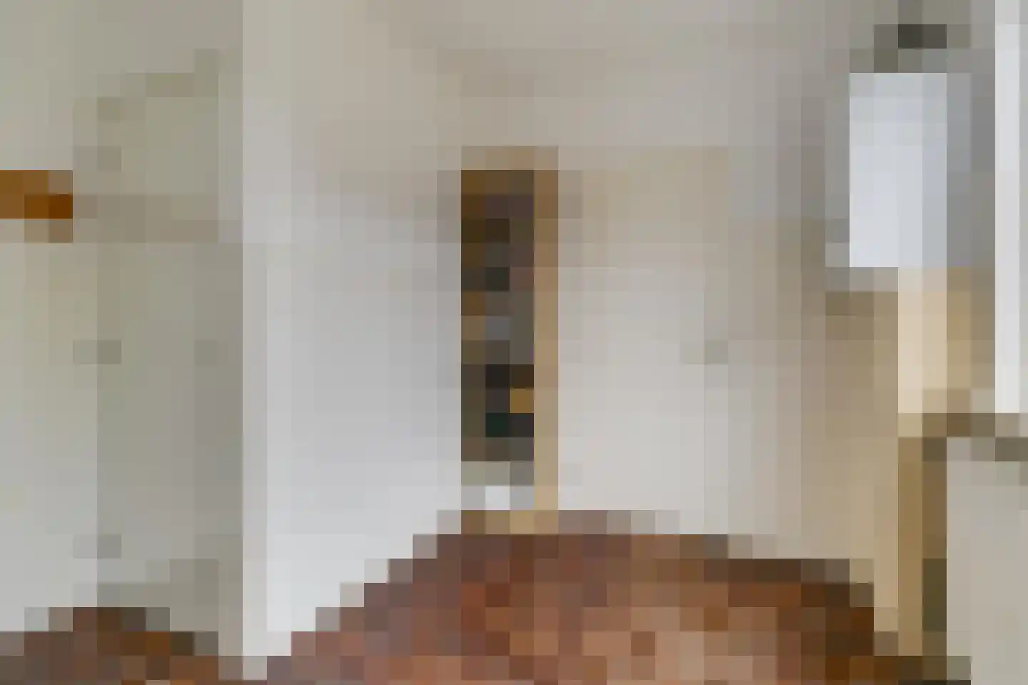 Andries Dekkerweg 2 Waarland thumbnail 35