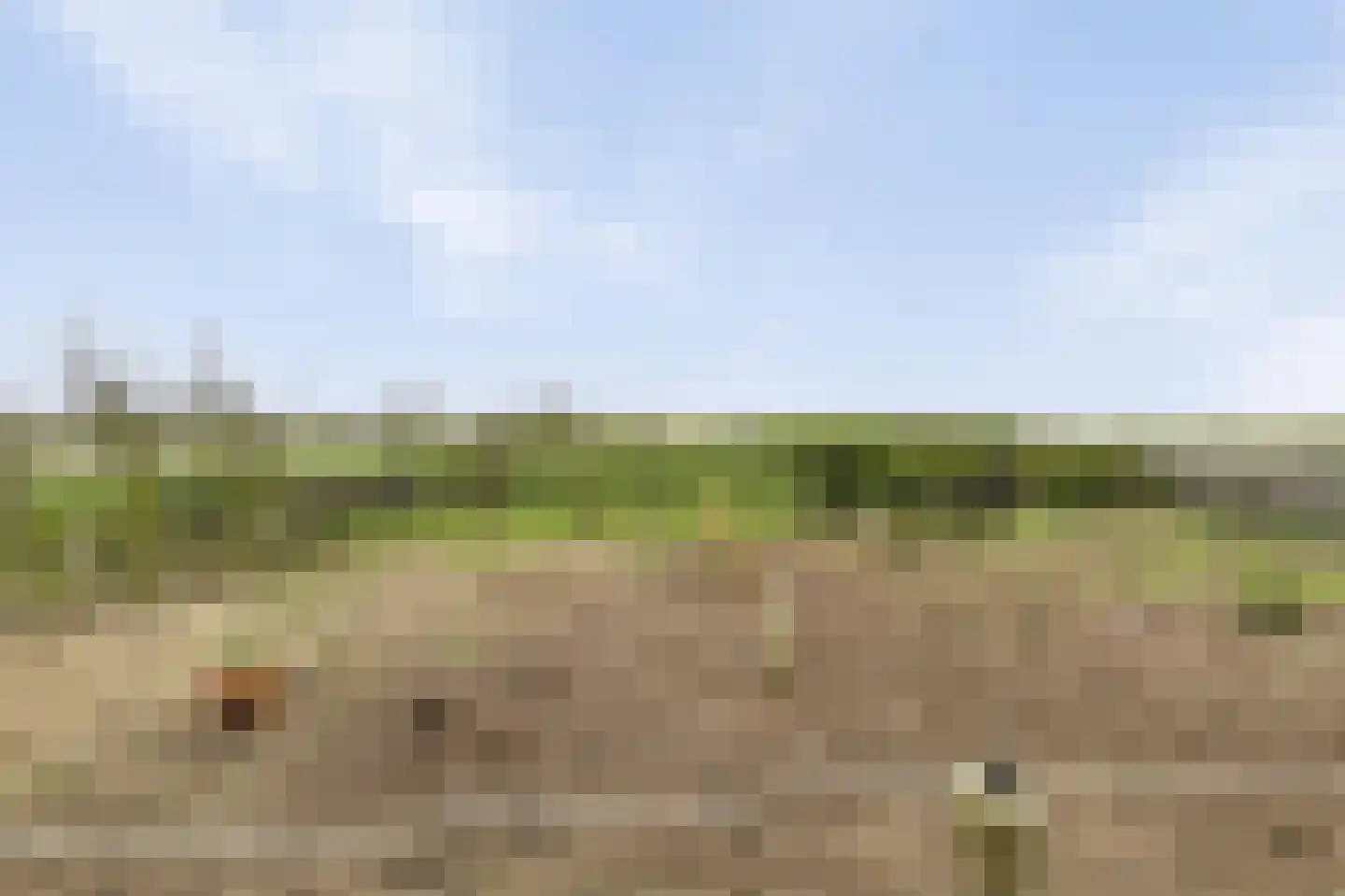 Andries Dekkerweg 2 Waarland thumbnail 38