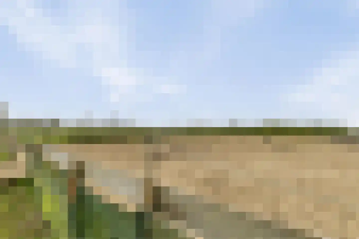 Andries Dekkerweg 2 Waarland thumbnail 41