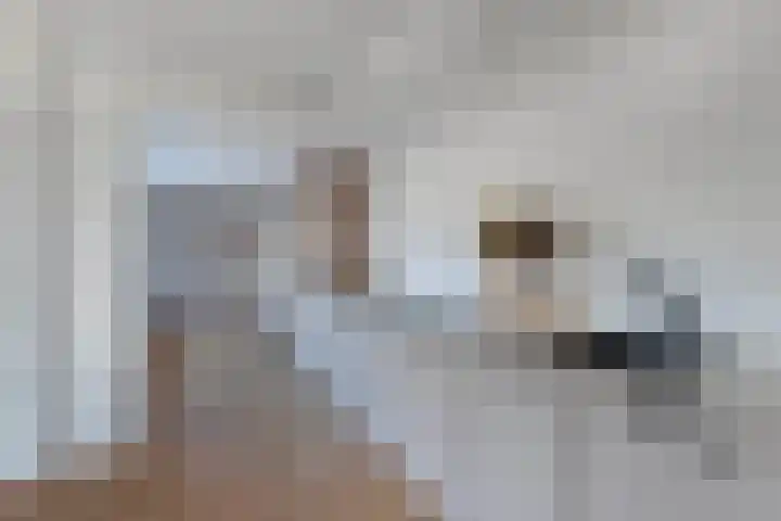 Andries Joustrastrjitte 7 Easterein thumbnail 14