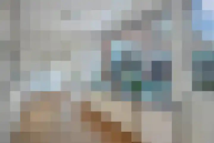 Andries Joustrastrjitte 7 Easterein thumbnail 15