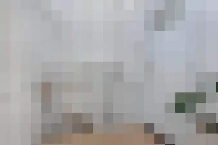 Andries Joustrastrjitte 7 Easterein thumbnail 18