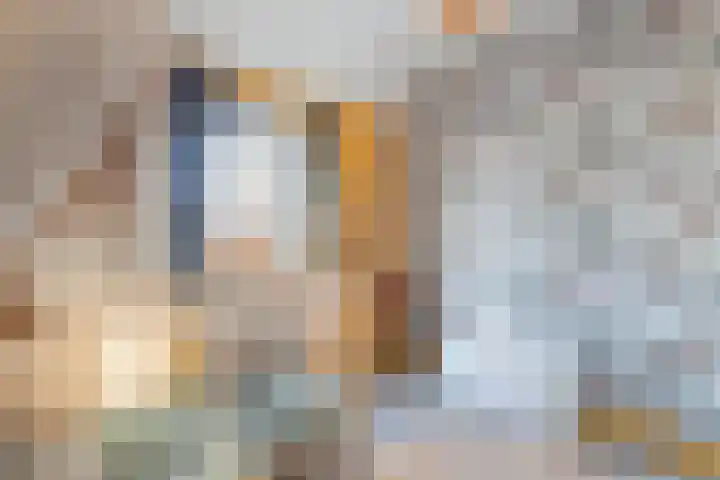Andries Joustrastrjitte 7 Easterein thumbnail 24