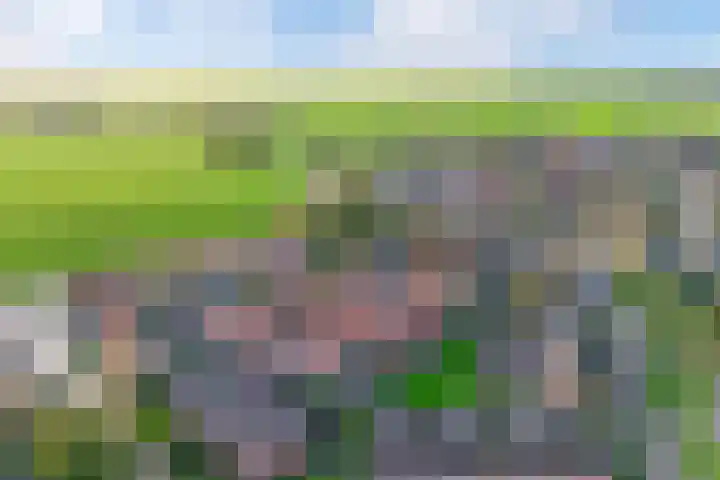 Andries Joustrastrjitte 7 Easterein thumbnail 36