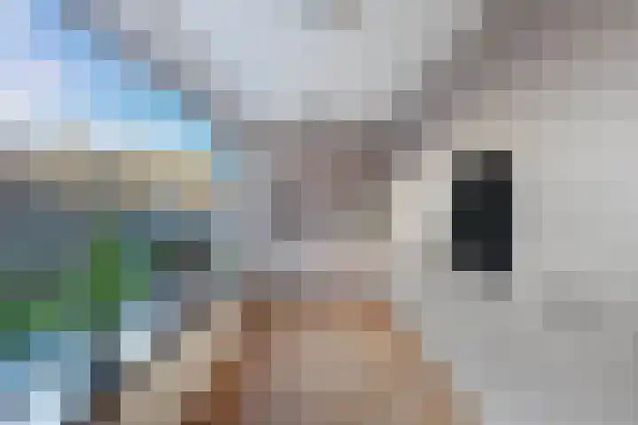 Andries Joustrastrjitte 7 Easterein thumbnail 4