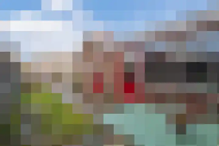 Andries Joustrastrjitte 7 Easterein thumbnail 5