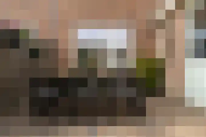 Andries Joustrastrjitte 9 Easterein thumbnail 18