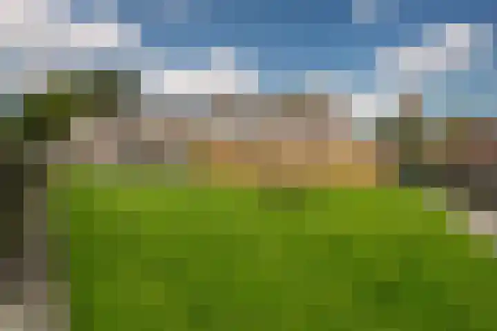 Andries Joustrastrjitte 9 Easterein thumbnail 33
