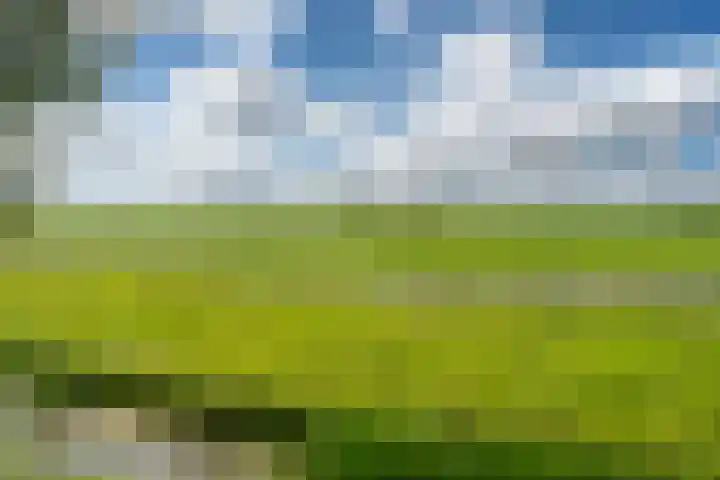 Andries Joustrastrjitte 9 Easterein thumbnail 34