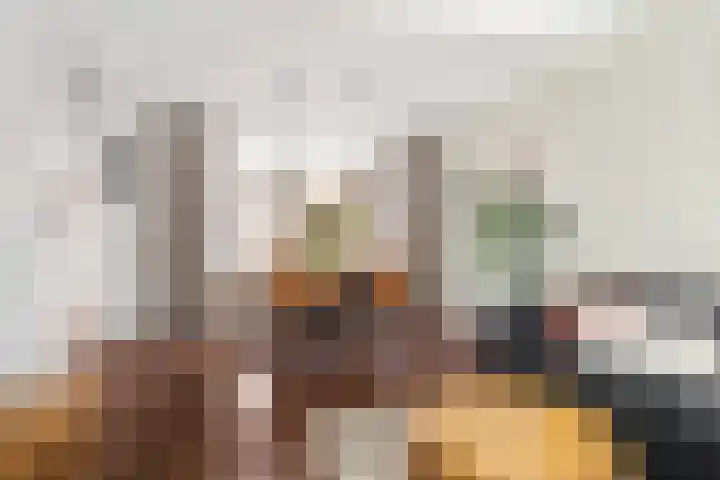 Andries Joustrastrjitte 9 Easterein thumbnail 4