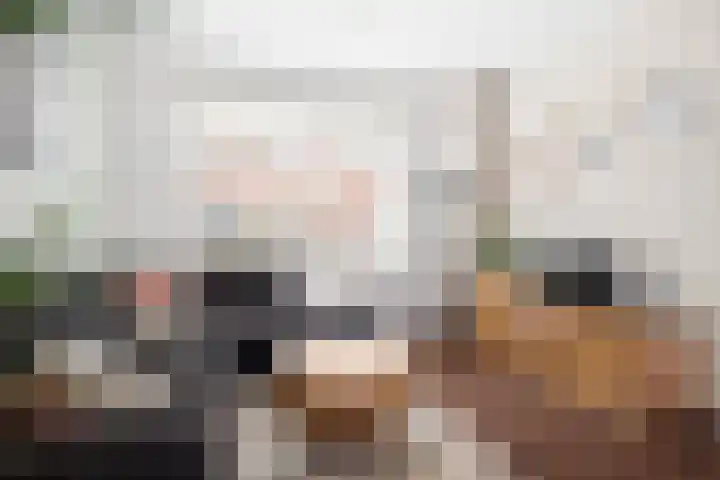 Andries Joustrastrjitte 9 Easterein thumbnail 6