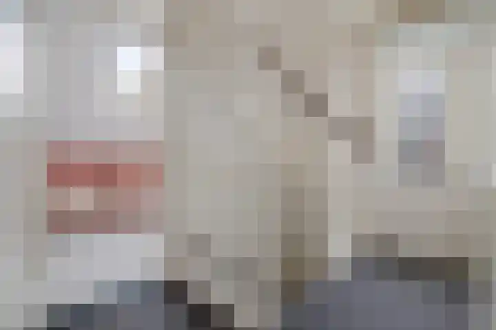 Andries Kalterstraat 4 Nieuw-Amsterdam thumbnail 33