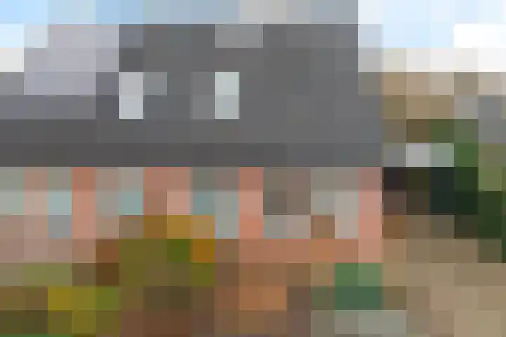 Andries Kalterstraat 4 Nieuw-Amsterdam thumbnail 43