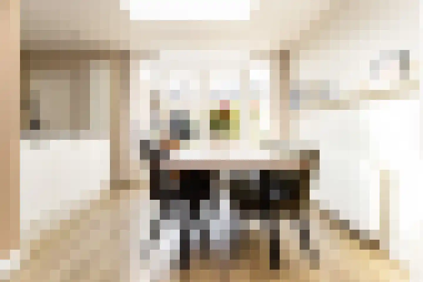 Andries Magnéelaan 14 Wognum thumbnail 14
