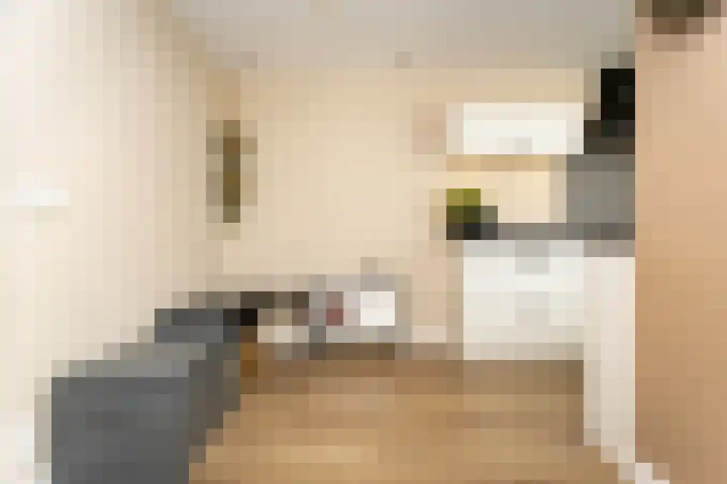 Andries Magnéelaan 14 Wognum thumbnail 16